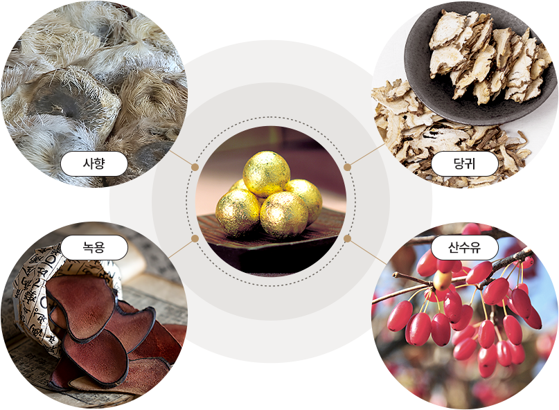 공진단 사용 재료 이미지