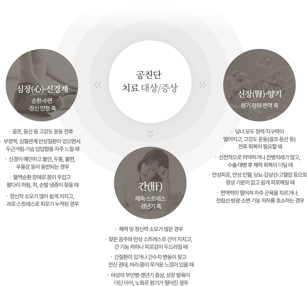 공진단 치료 대상/증상 설명 이미지